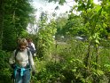2010-05-06 12-06-53 Foret de Meudon DLe